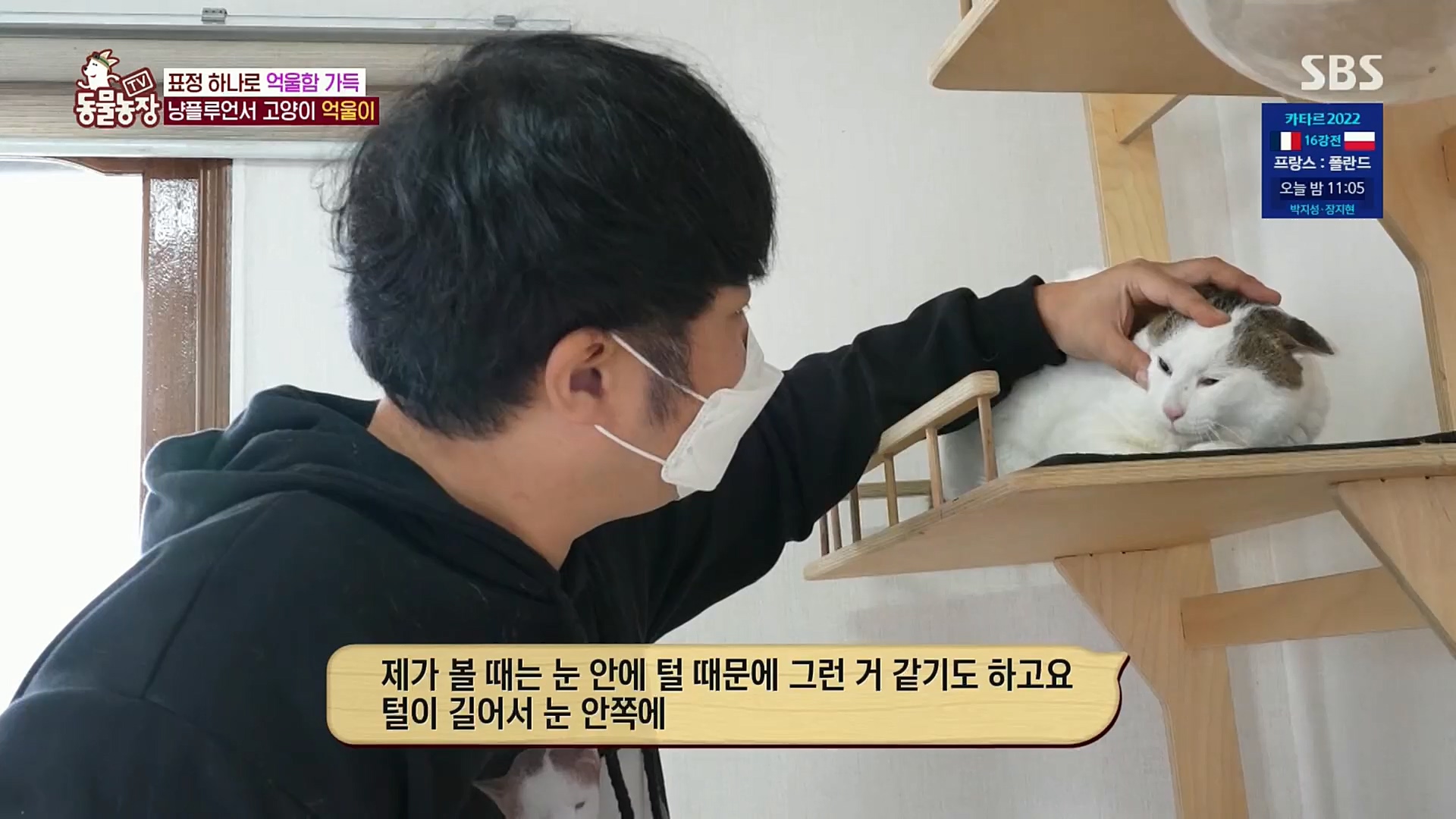 TV 동물농장.E1098.221204p.H264-F1RST.mp4_20221204_175411.887.jpg