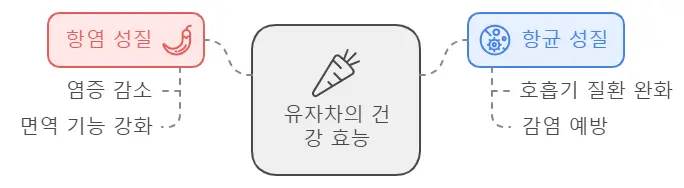 유자차의 항염 항균 효과