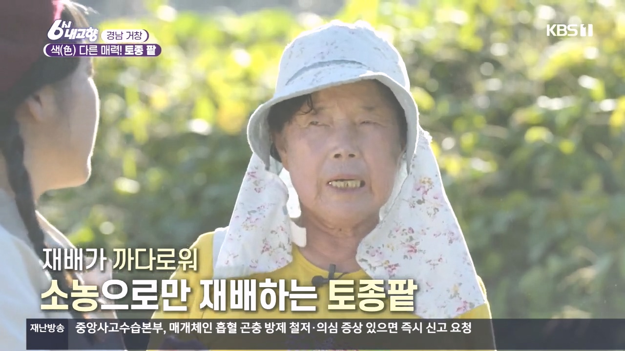 6시 내고향.E7897.231025p.H264-F1RST.mp4_20231025_195935.345.jpg
