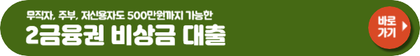카카오뱅크 비상금 대출