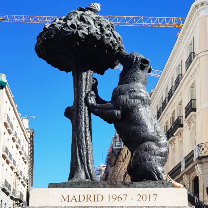 스페인 마드리드 솔 광장 곰 동상