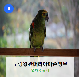 전주동물원