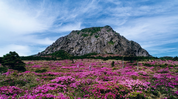 한라산