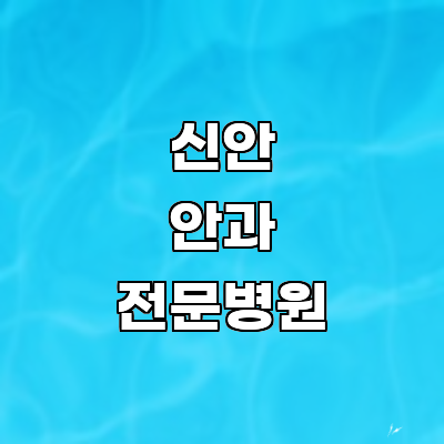 신안군 안과