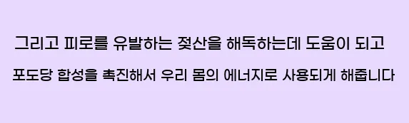  그리고 피로를 유발하는 젖산을 해독하는데 도움이 되고 포도당 합성을 촉진해서 우리 몸의 에너지로 사용되게 해줍니다