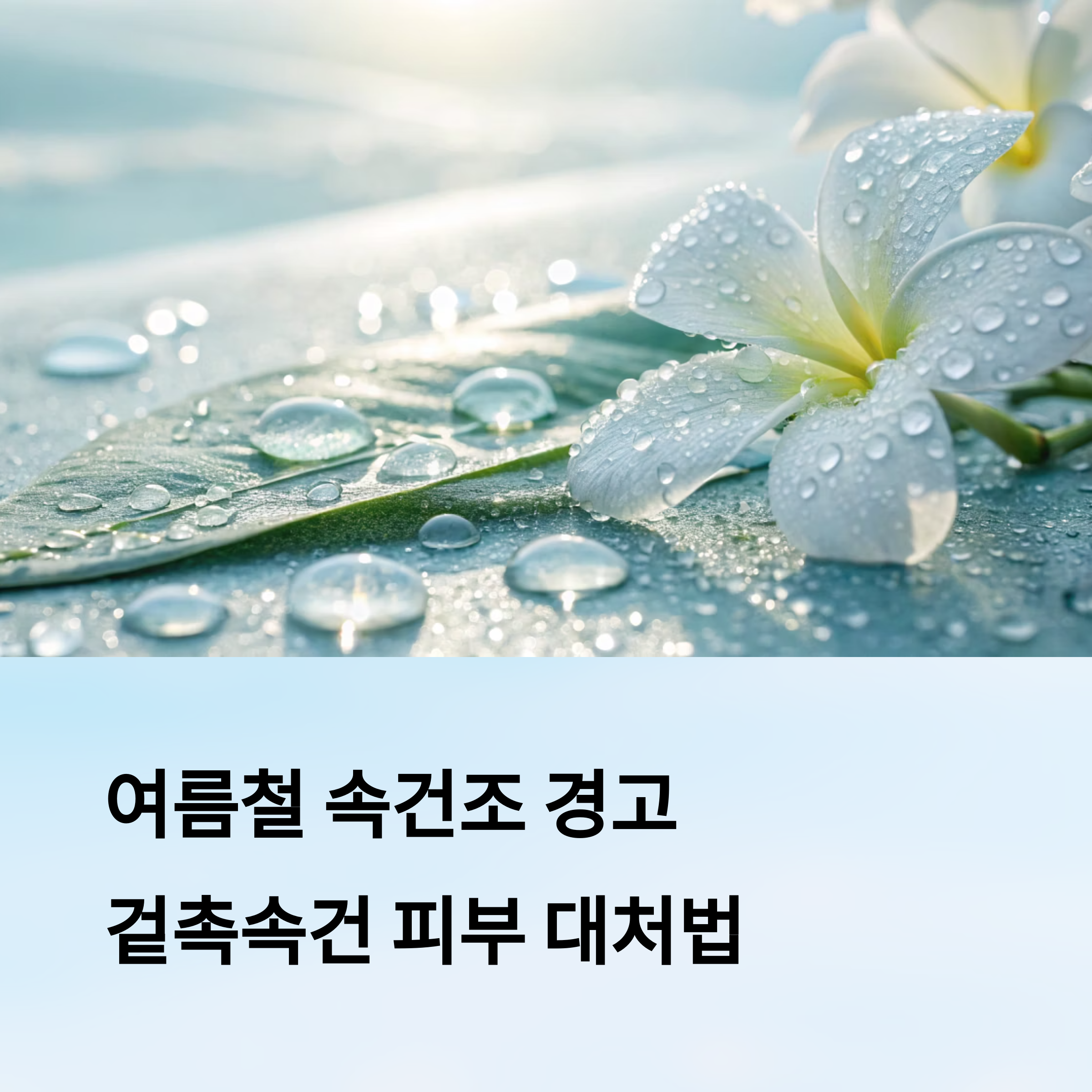 여름철 보습 스킨케어 루틴공개
