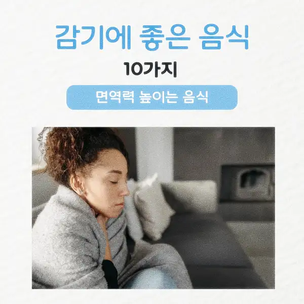 감기에 좋은 음식