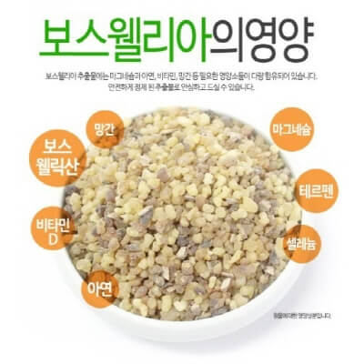  보스웰리아 효능 알아보자