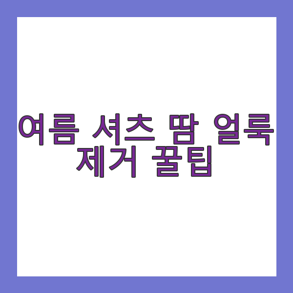 셔츠 얼룩 제거