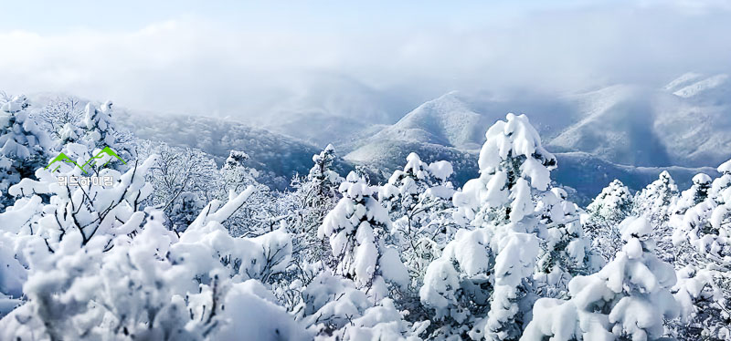 발왕산 등산코스