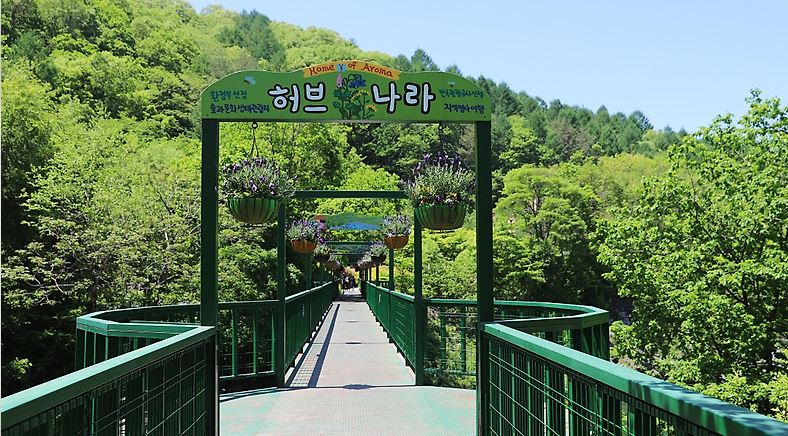 허브나라 농원