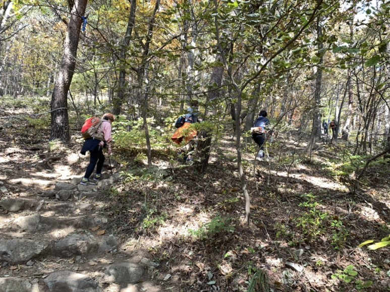 오서산 최단코스 [BAC 100대명산 / 보령 오서산 최단코스] 오서산자연휴양림 ~ 월정사 68
