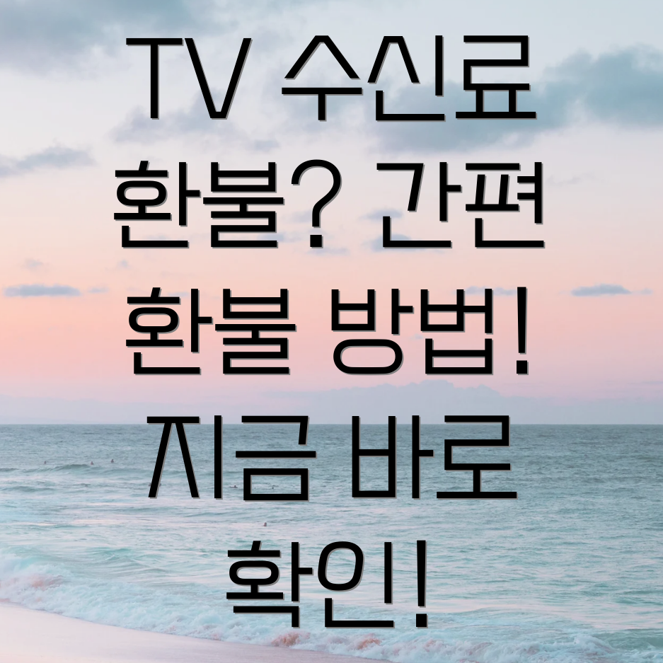 분리징수 TV수신료 환불