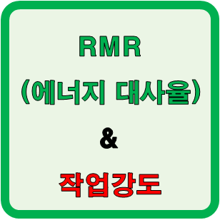  R.M.R과 작업강도에 영향을 주는 요소