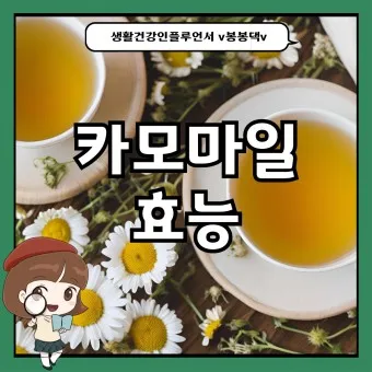 카모마일 차 효능 마시는법_10