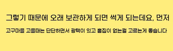  그렇기 때문에 오래 보관하게 되면 썩게 되는데요, 먼저 고구마를 고를때는 단단하면서 광택이 있고 흠집이 없는걸 고르는게 좋습니다