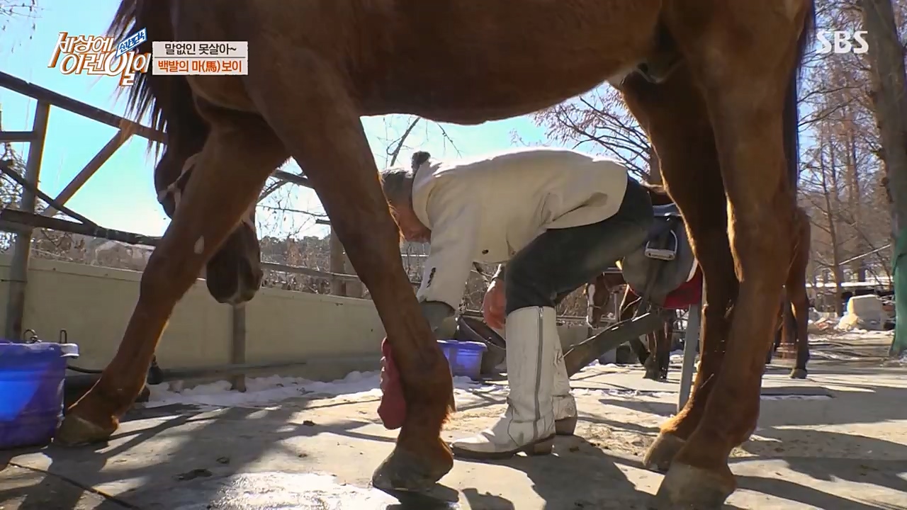 순간포착 세상에 이런일이.E1216.230208p-NEXT.mp4_20230208_194200.318.jpg