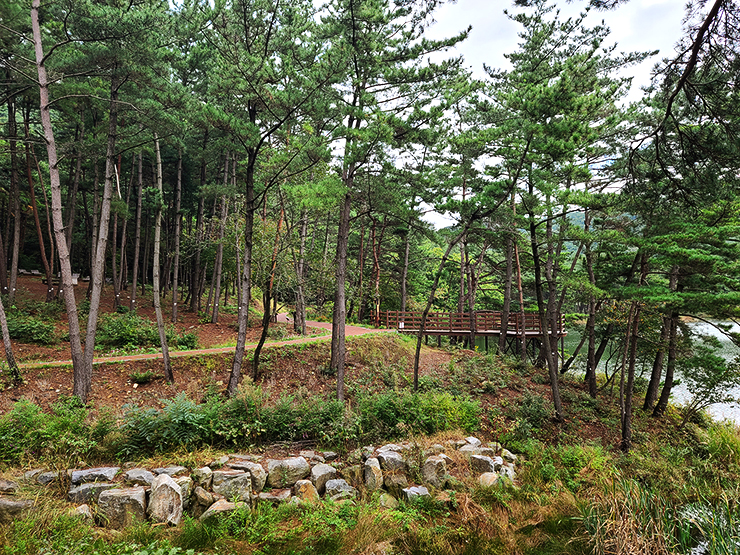 충남 걷기 좋은 숲길 국내여행 걷기 좋은 길, 13