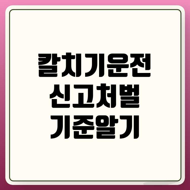 칼치기 운전 신고 방법과 처벌 기준 알아보기