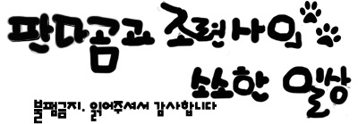아이폰 se2 강화필름 아이폰SE2강화유리필름! 힐링쉴드 18