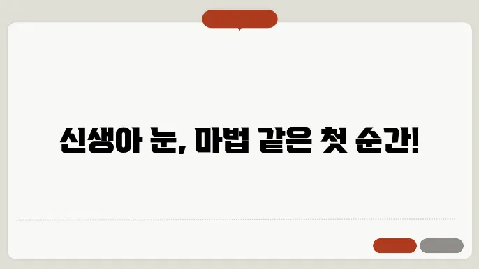 신생아 눈보이는시기