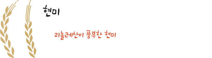 현미효능