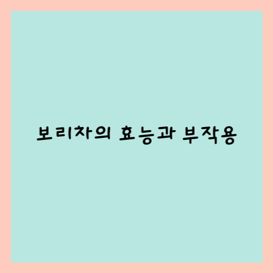  보리차의 효능과 부작용