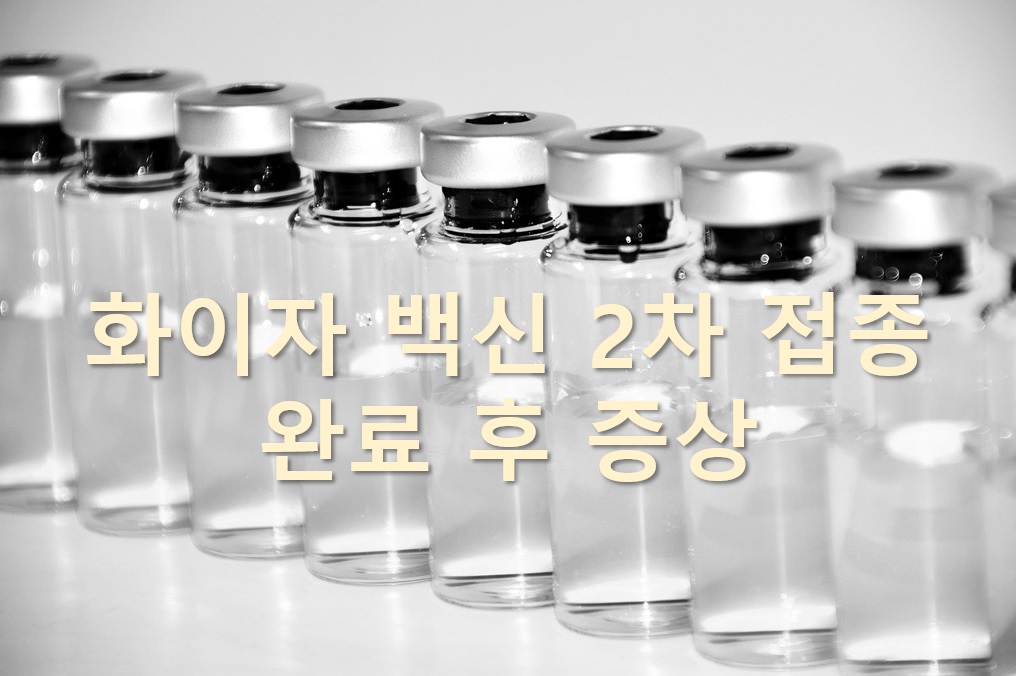  화이자 백신 2차 접종 완료 후 증상들에 대해서