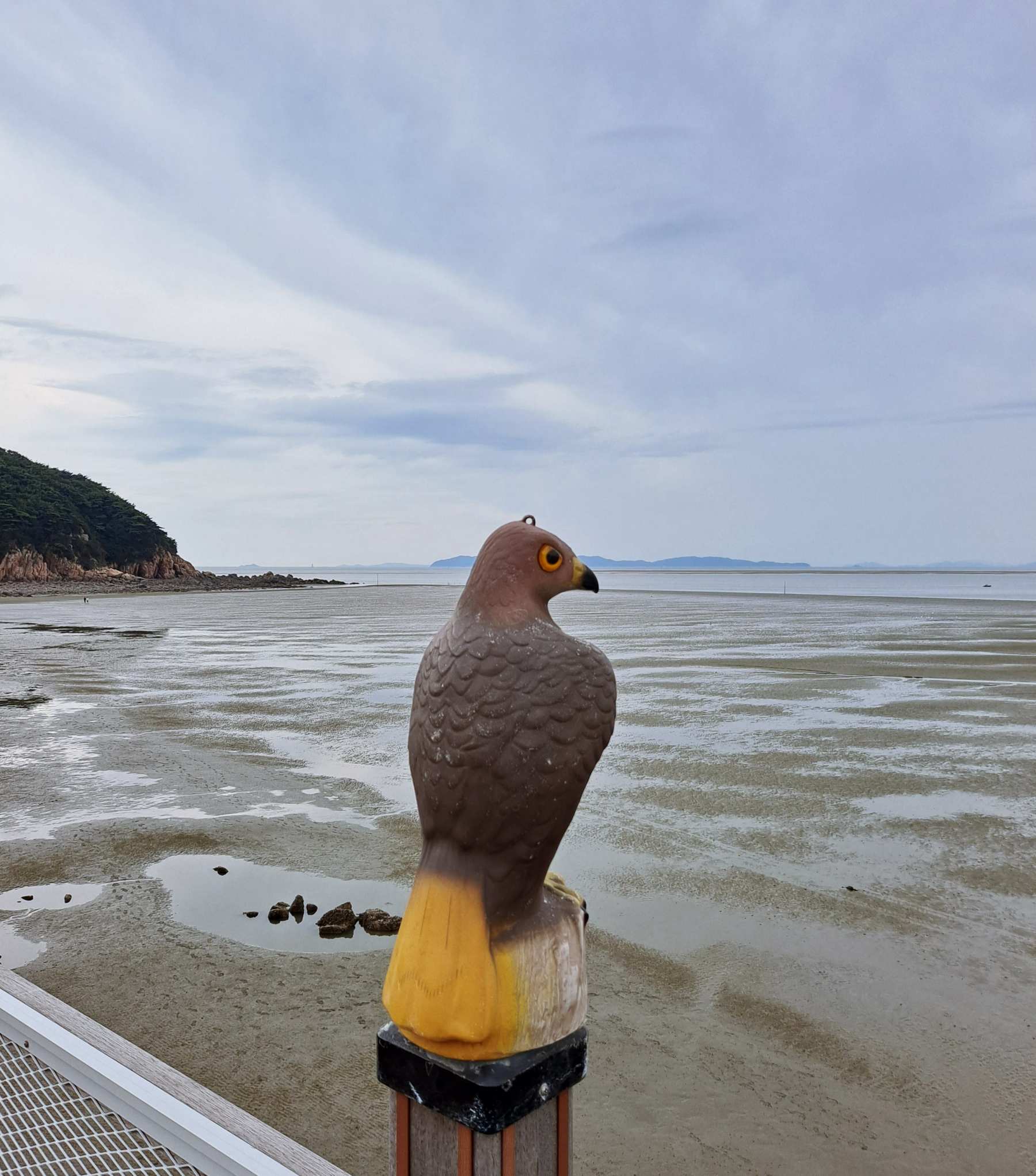 멋진 독수리 조형물