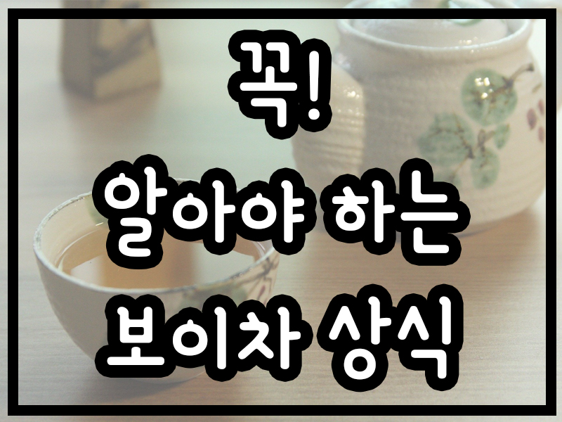 보이차 효능과 끓이는방법 카페인 10