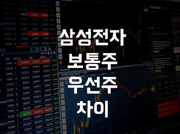  삼성전자 보통주 삼성전자우  차이