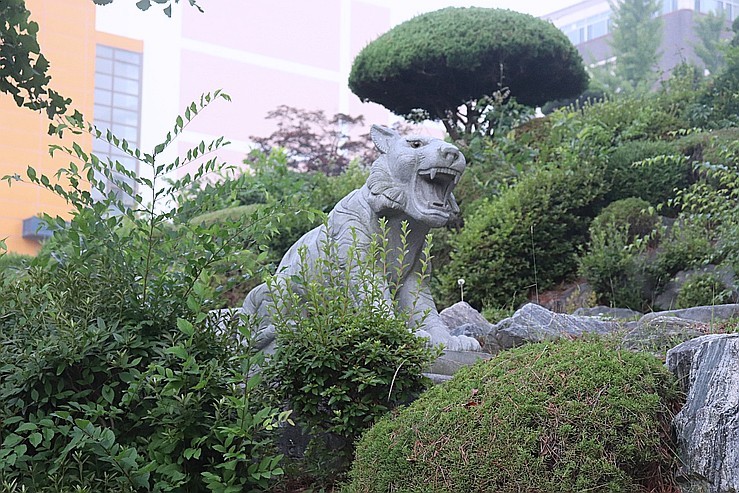 아름다운 배재대학교 캠퍼스 대전 랜선여행-전경이 5