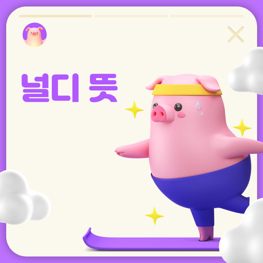  널디 뜻