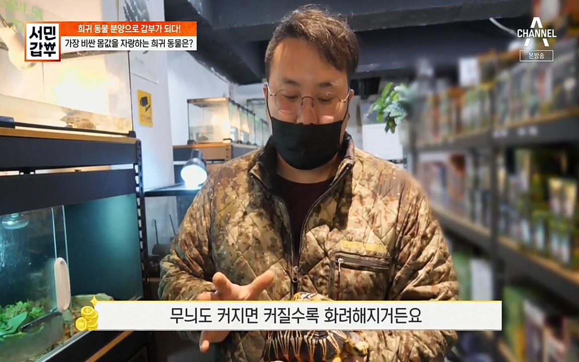 서민 갑부.E381.220431p-NEXT.mp4_20220501_174531.945.jpg