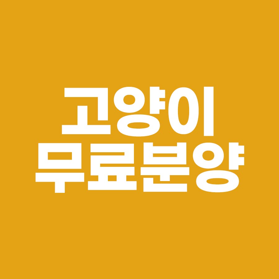 고양이 무료분양 사이트 소개