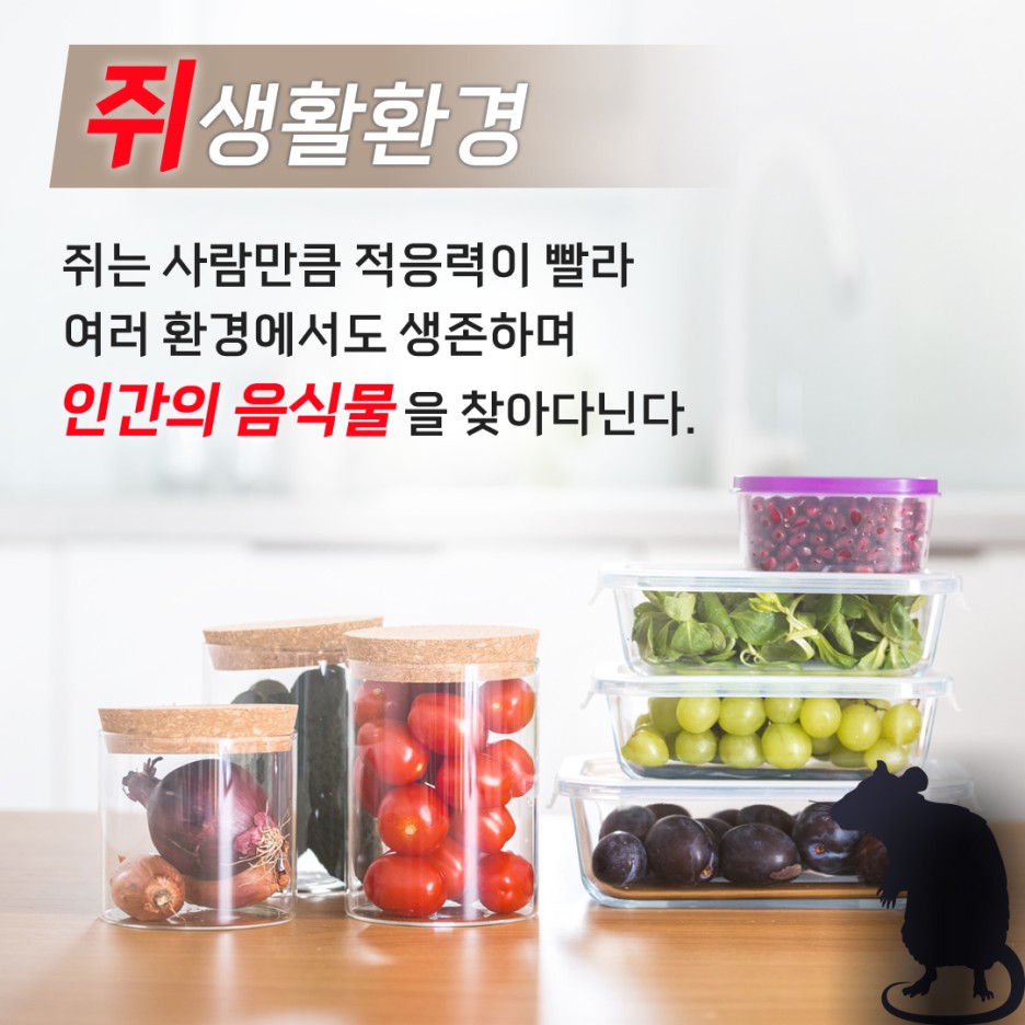 케어원 이미지