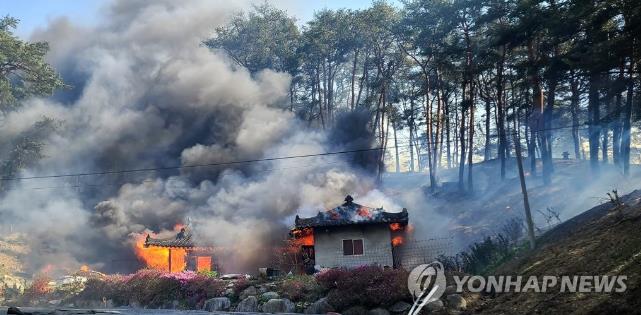 강릉산불