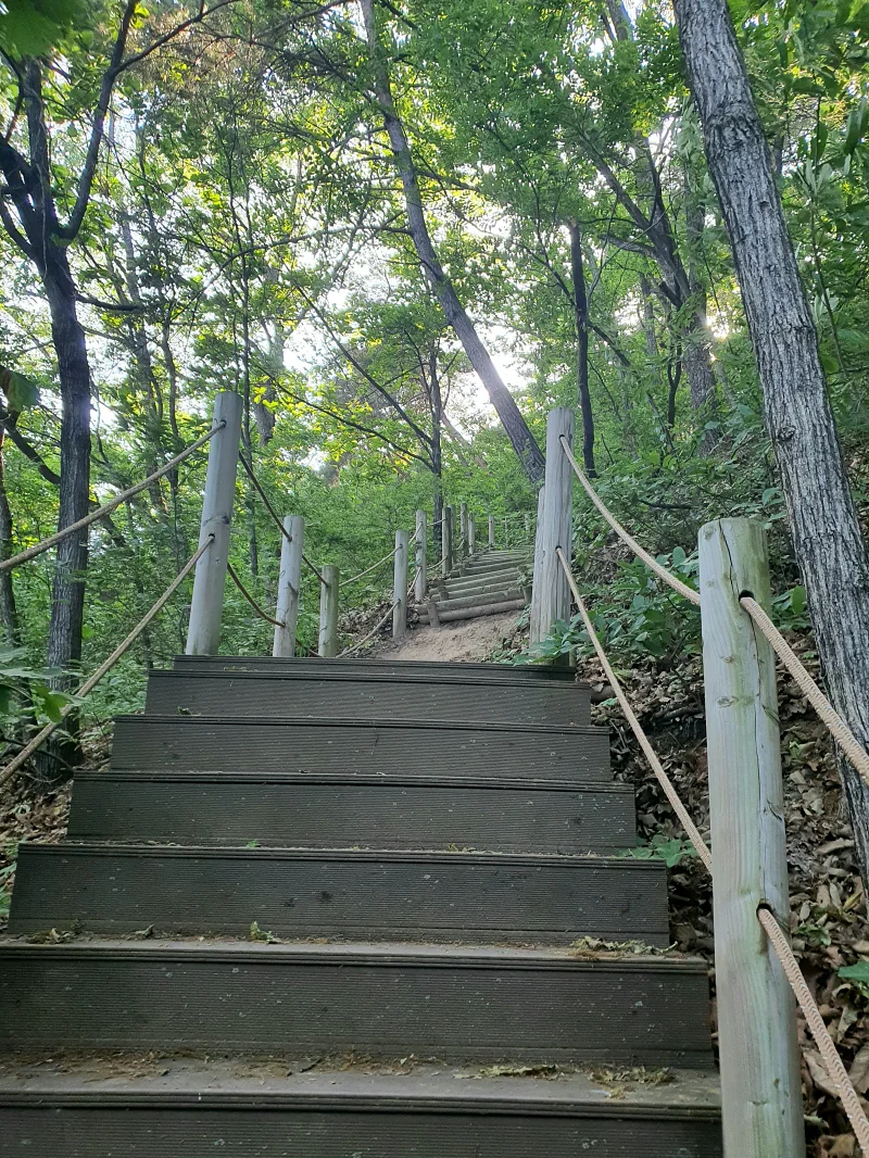 미르숲 계단