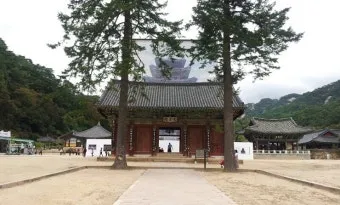 소백산 비로봉 연화봉 등산 완벽 산행코스 소요시간 주차팁과 철도 정보_10
