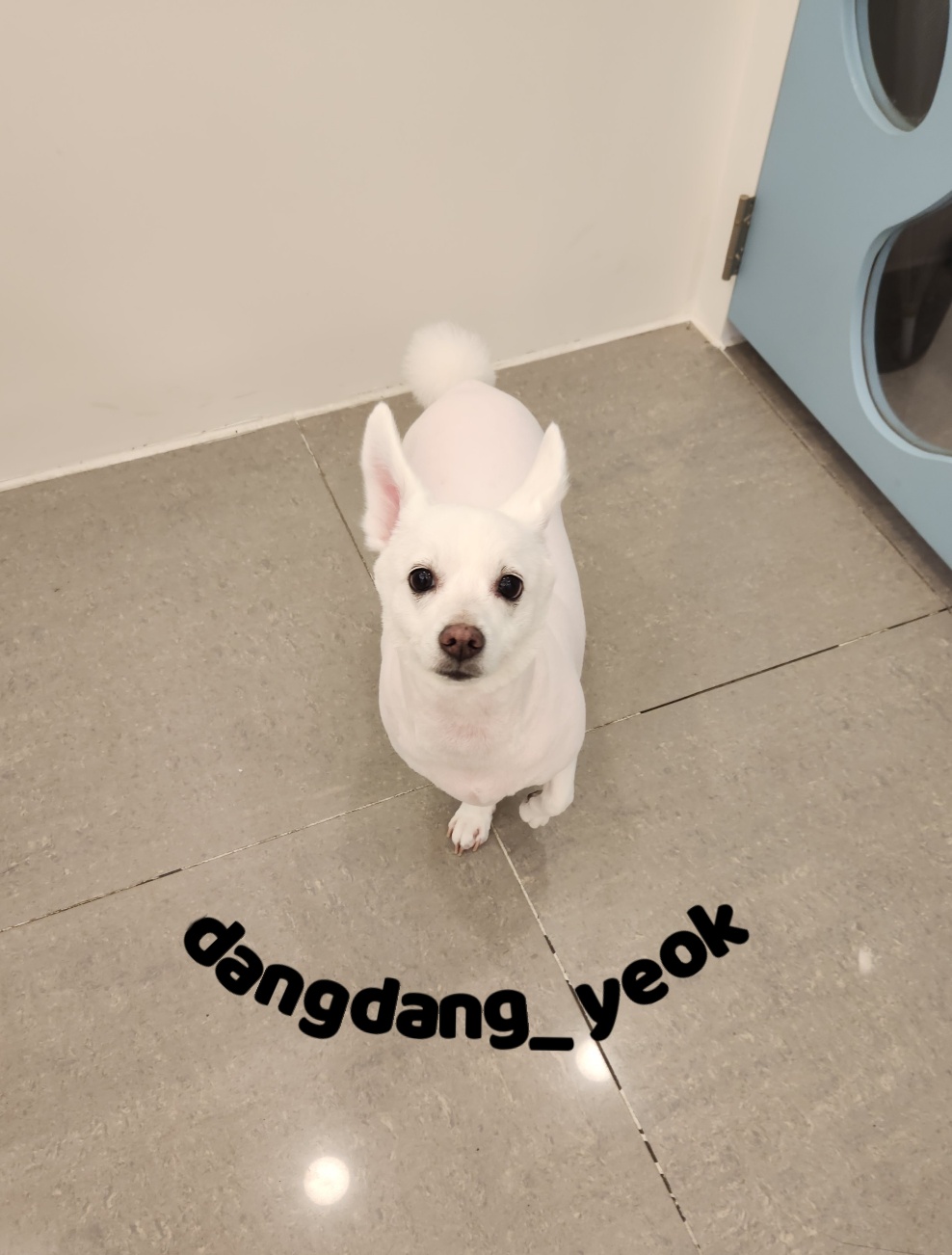 토리 이미지
