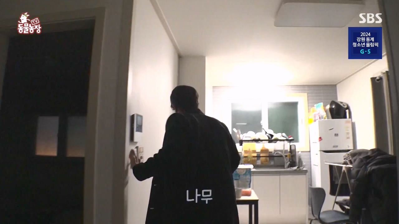 TV 동물농장.E1154.240115p-NEXT.mp4_20240114_184334.964.jpg