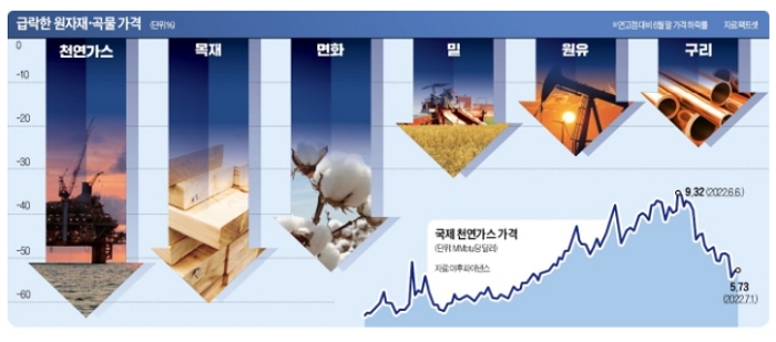 급락한 원자재 곡물 가격