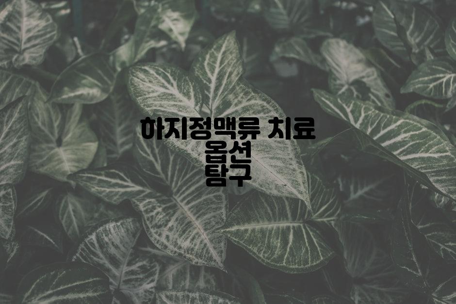 하지정맥류 치료 옵션 탐구