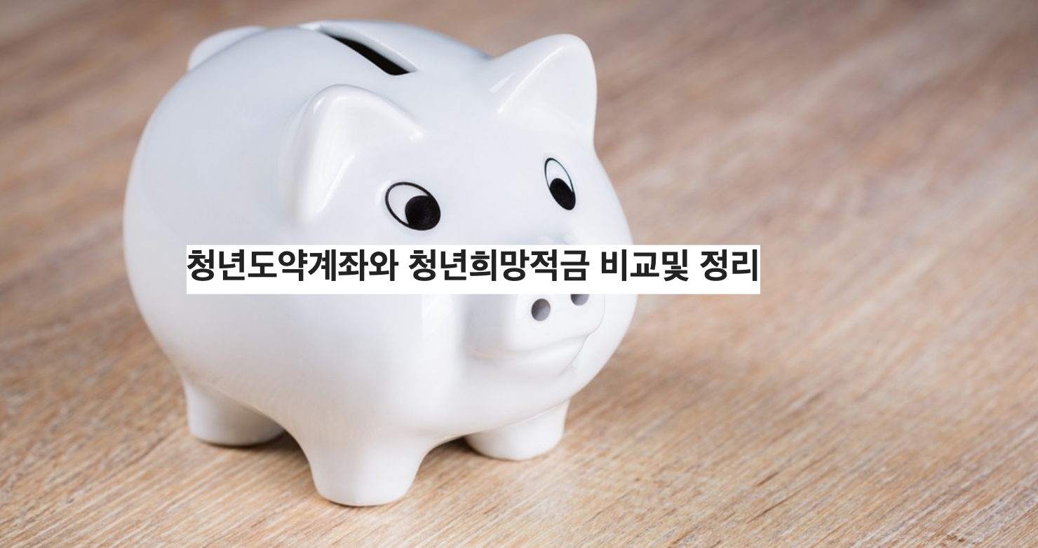 청년도약계좌와 청년희망적금 비교및 1