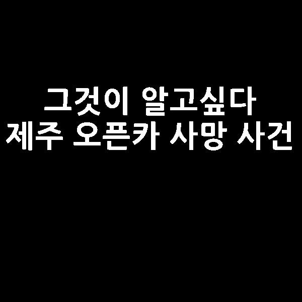  그것이 알고싶다 300일, 그리고 19초- 제주 오픈카 사망 사건의 진실 1276회