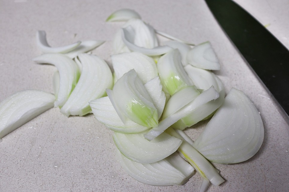 양념 황금 레시피 닭볶음탕 조림 19