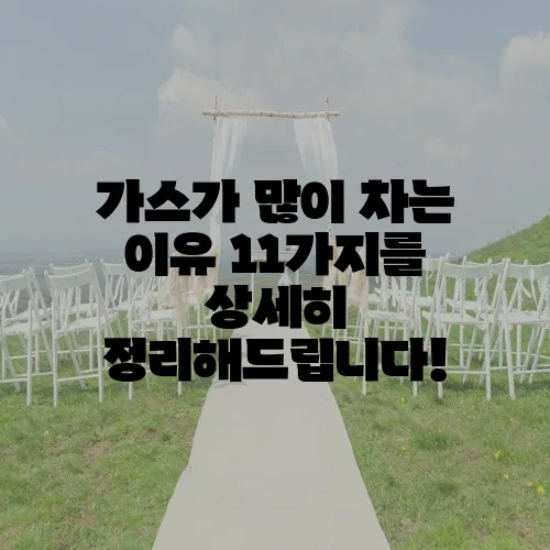 가스가 많이 차는 이유 11가지를 상세히 정리해드립니다!