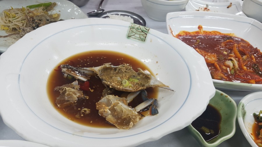 동백여행사1박2일 [국내 여행 / 남도 맛기행] 동백 여행사 6