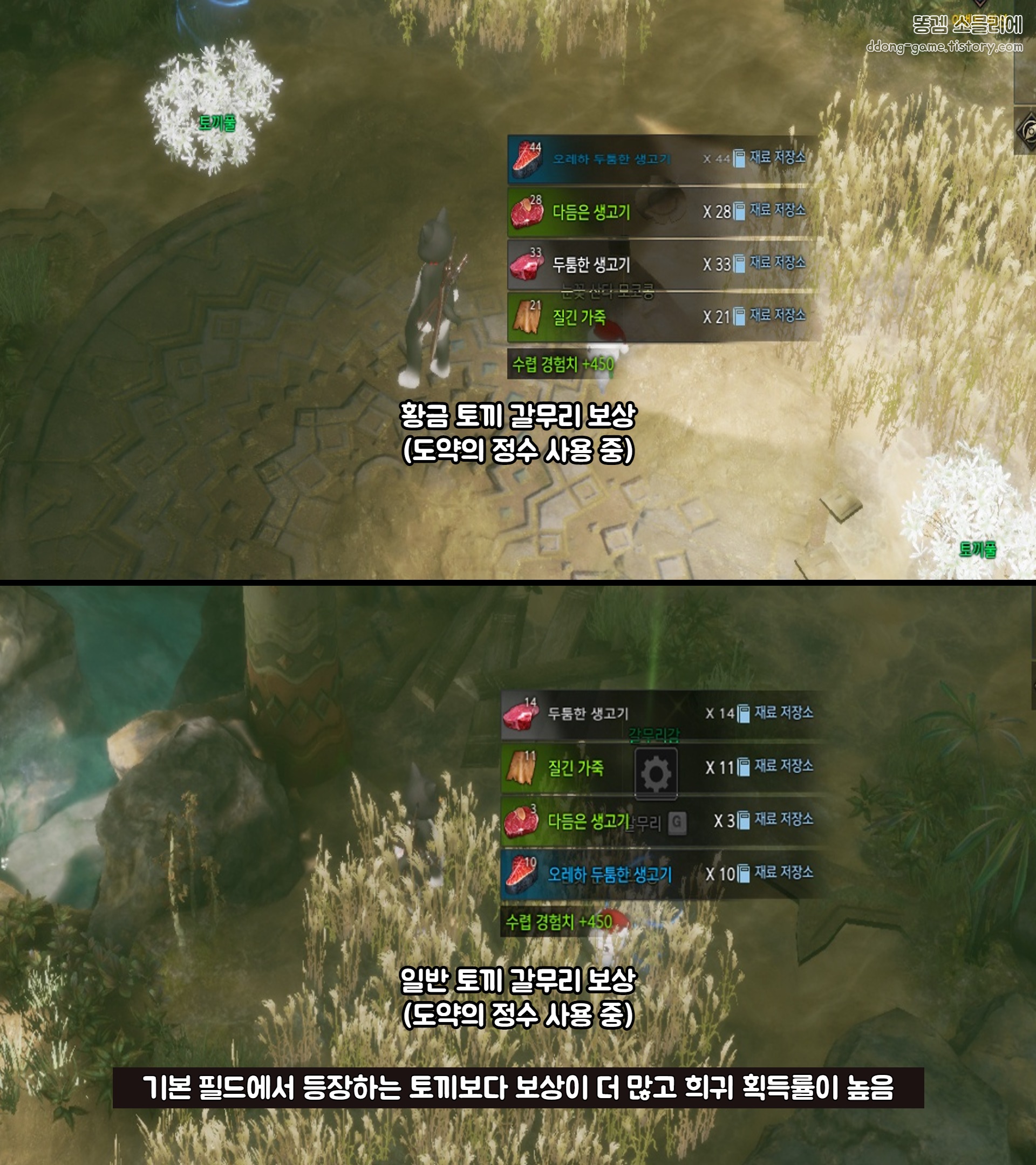 로스트아크 황금토끼의 거처 5.jpg