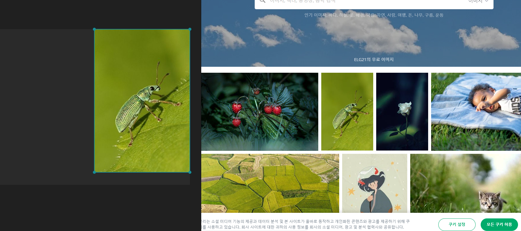 레퍼런스 PureRef 창에 놓기
